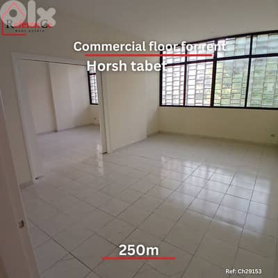 Commercial floor for rent horsh tabet طابق تجاري للإيجار في حرش تابت
