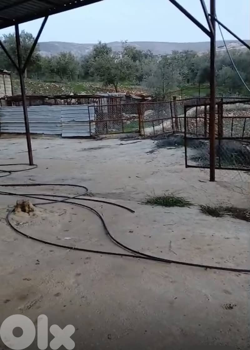 أرض زراعية - سكنية للبيع في قليا- الدلافة قضاء جب جنين - البقاع الغربي 2