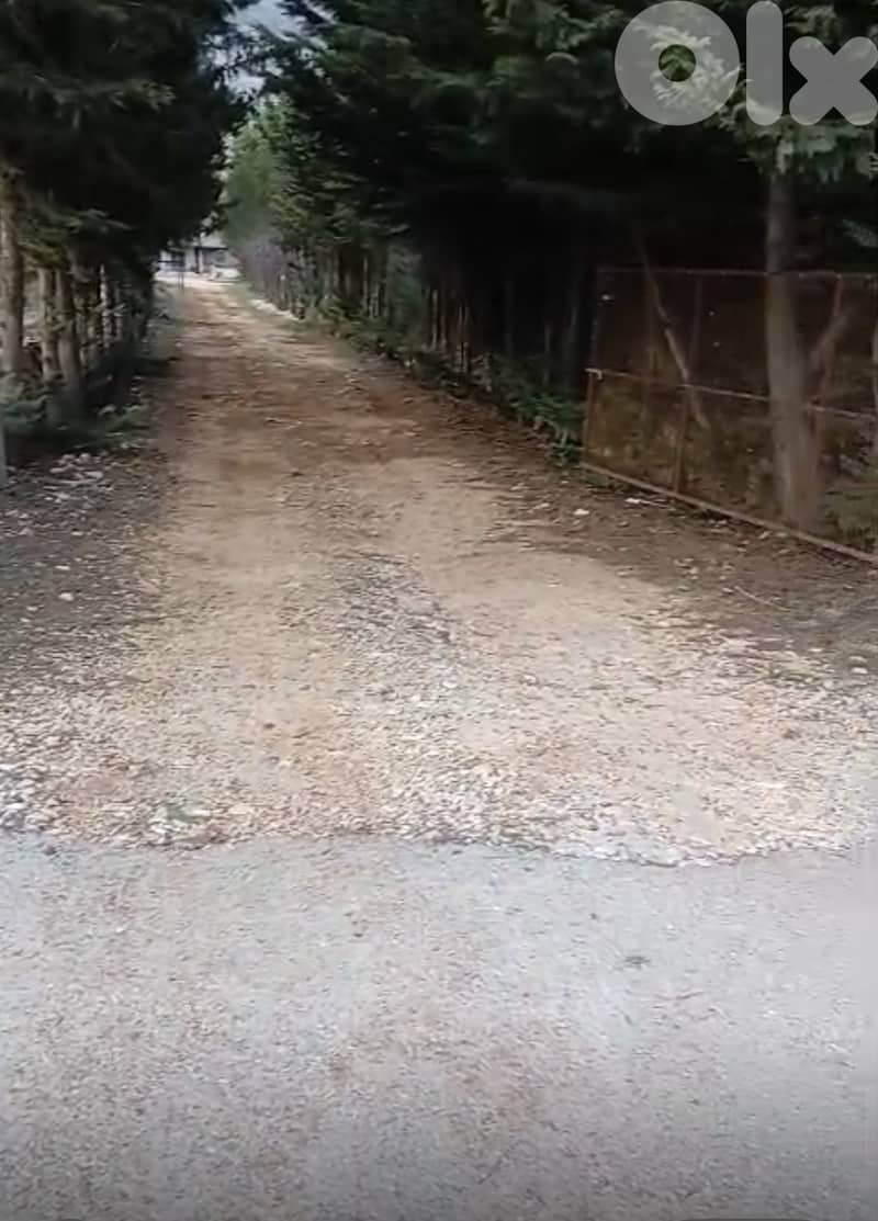 أرض زراعية - سكنية للبيع في قليا- الدلافة قضاء جب جنين - البقاع الغربي 3