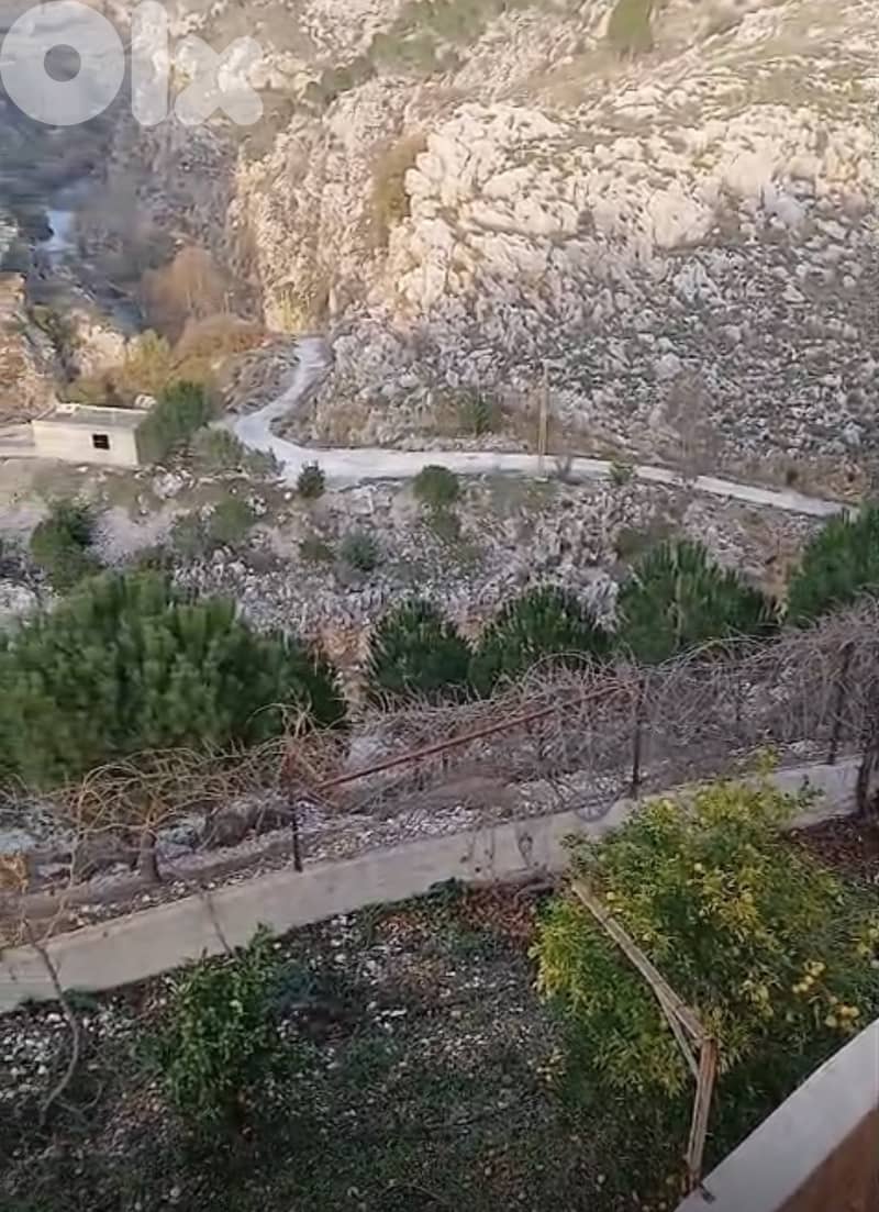 أرض زراعية - سكنية للبيع في قليا- الدلافة قضاء جب جنين - البقاع الغربي 5