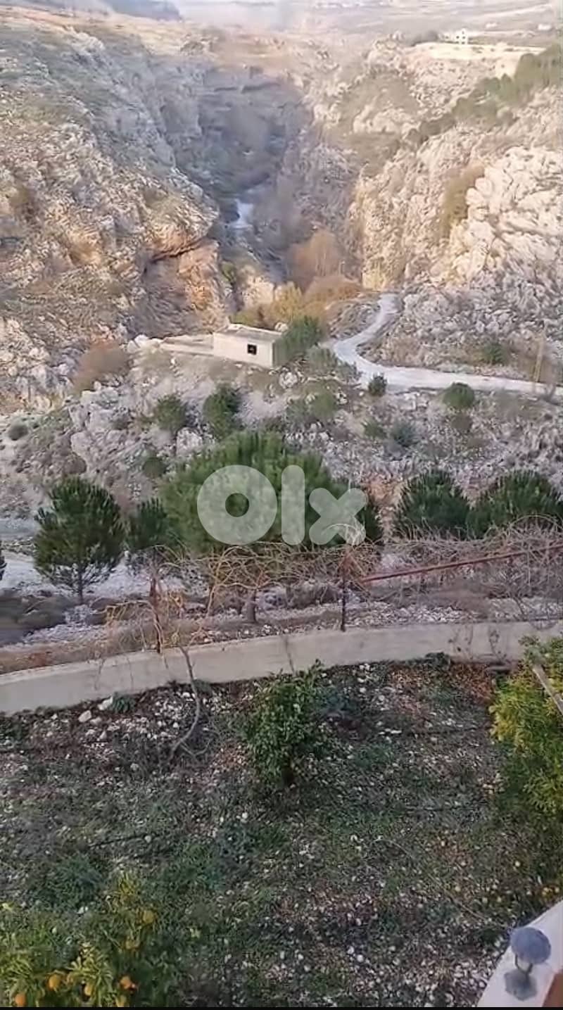 أرض زراعية - سكنية للبيع في قليا- الدلافة قضاء جب جنين - البقاع الغربي 7