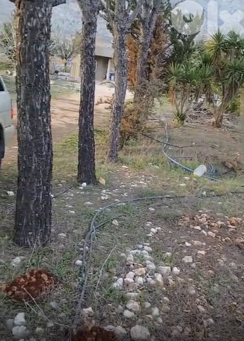 أرض زراعية - سكنية للبيع في قليا- الدلافة قضاء جب جنين - البقاع الغربي 8