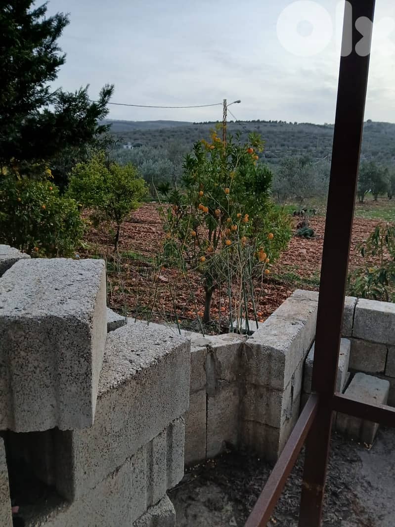 أرض زراعية - سكنية للبيع في قليا- الدلافة قضاء جب جنين - البقاع الغربي 13