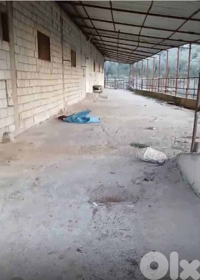 أرض زراعية - سكنية للبيع في قليا- الدلافة قضاء جب جنين - البقاع الغربي 15