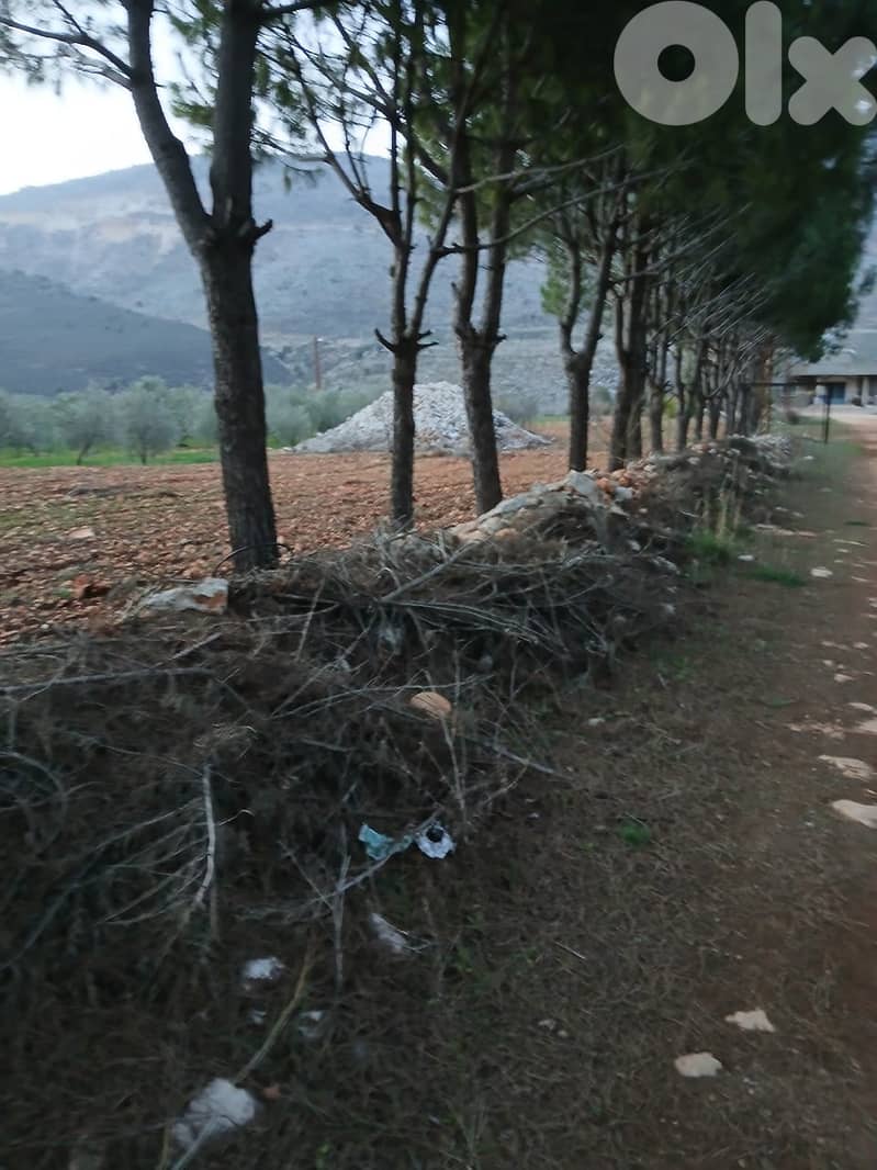 أرض زراعية - سكنية للبيع في قليا- الدلافة قضاء جب جنين - البقاع الغربي 17