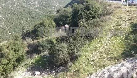 Land for sale in Blat-Jbeil | 4520 Sq. m 4