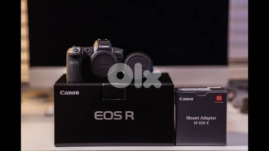 Canon EOS R with Lens Adapter and 70 200 f2.8 Tamron