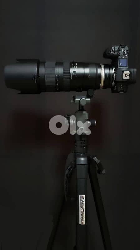 Canon EOS R with Lens Adapter and 70 200 f2.8 Tamron 11