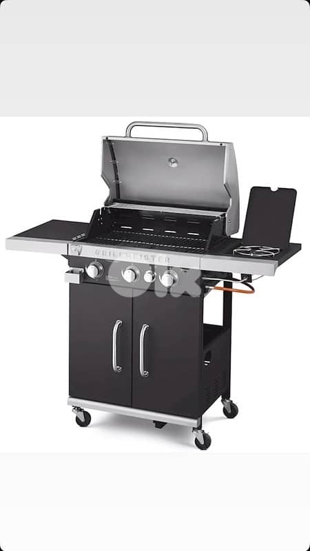 grill meister bbq 2