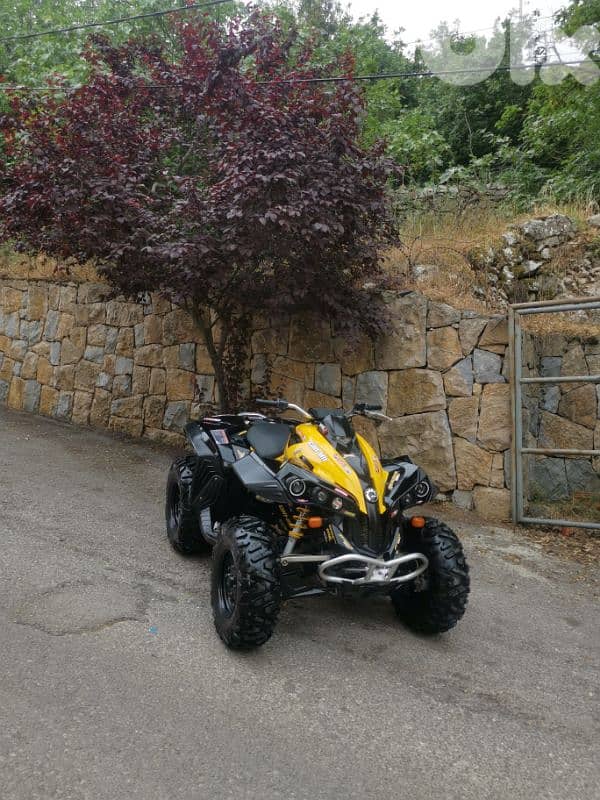 can am renegade 800cc 1