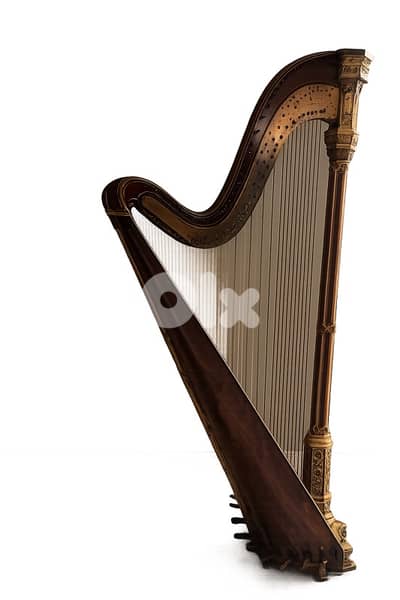 dark wood harp