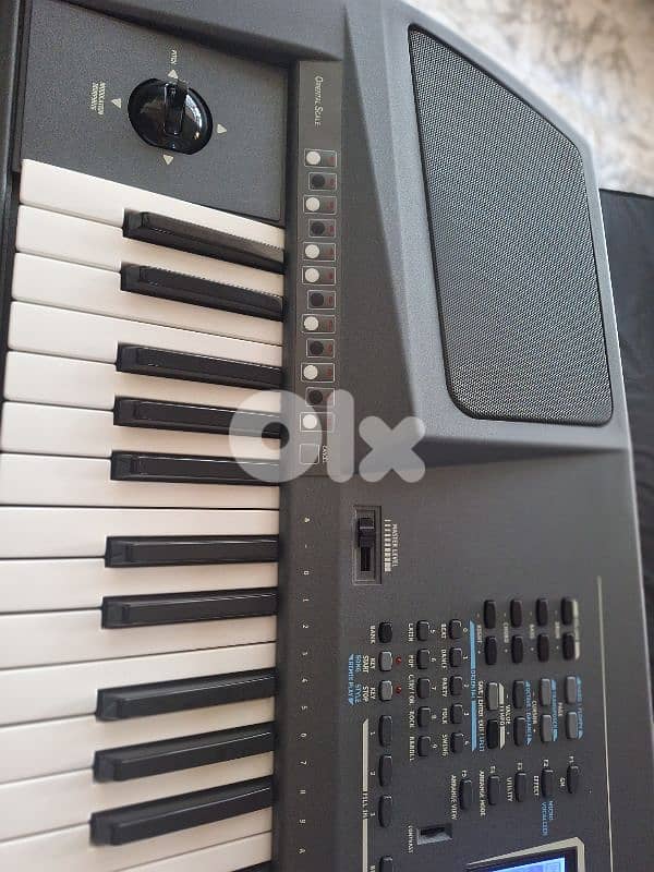 ketron vega infinity plus 4