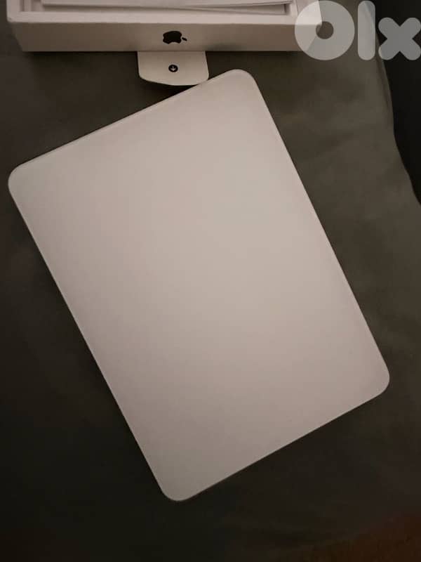 Apple Trackpad 1