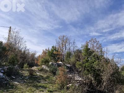 Land for sale in Mechmech