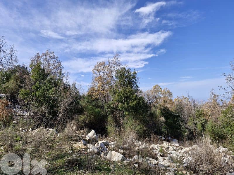 Land for sale in Mechmech 1