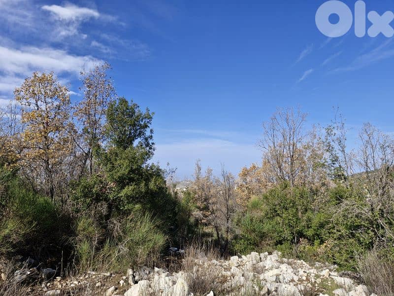 Land for sale in Mechmech 3