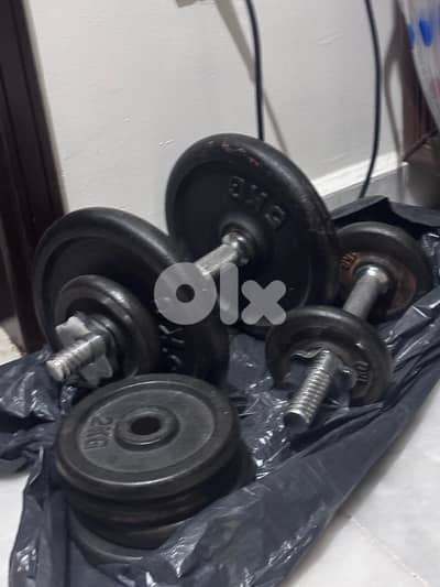 Adjustable Dumbells with Weights