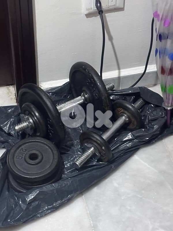 Adjustable Dumbells with Weights 1