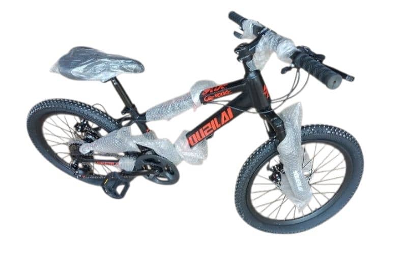 20 inch mountain bike 1