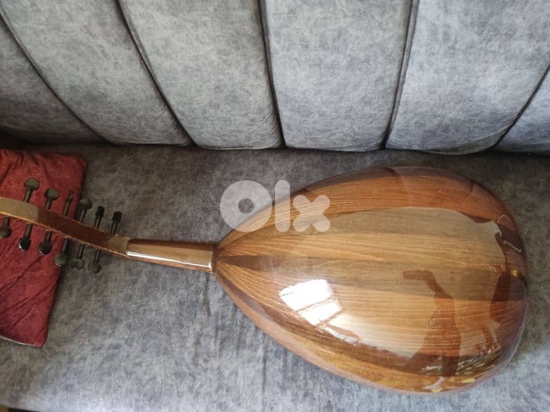 عود زرياب للبيع 1