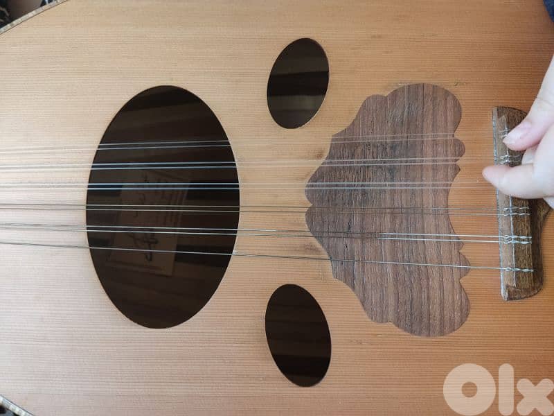 عود زرياب للبيع 4