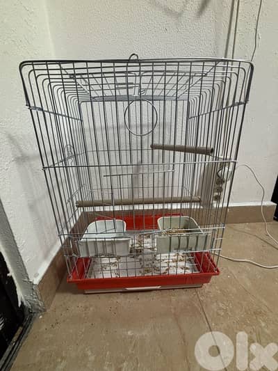 قفص كبير cage