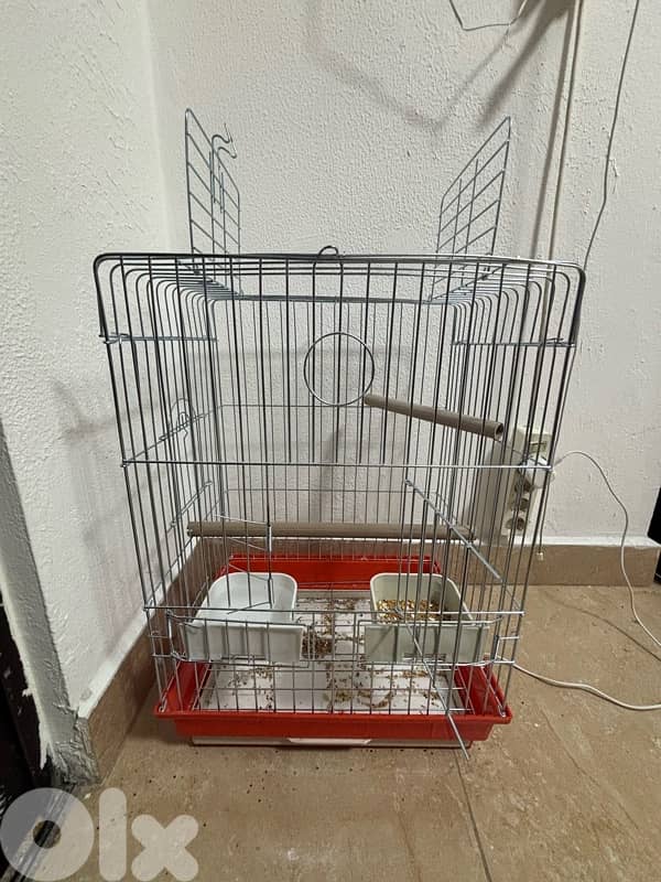 قفص كبير cage 1