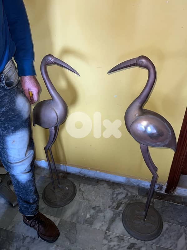 فلامينغو نحاس اطالي 2