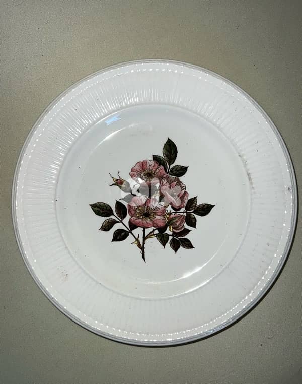 صحون بريطاني  bariar rose 2