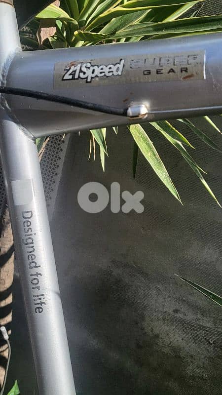 vintage Germany bicycle 1