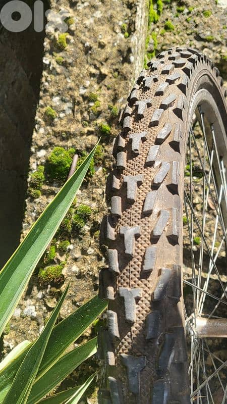 vintage Germany bicycle 5