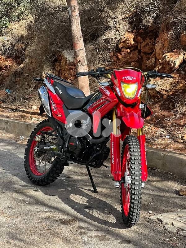 bashan 250cc cross 1