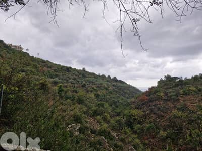 Land for sale in Lehfed directly on the highway