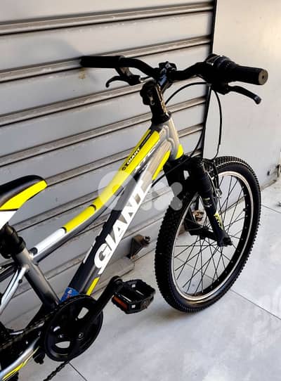 giant bicycle 20 still like new