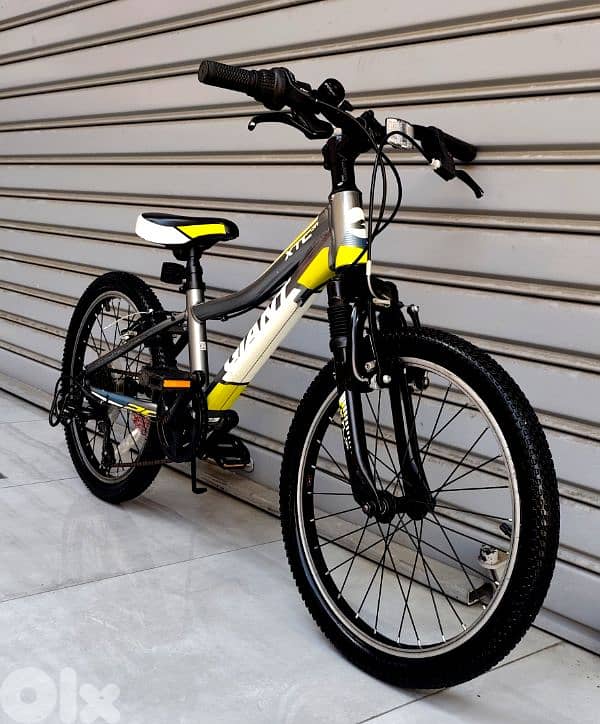 giant bicycle 20 still like new 2