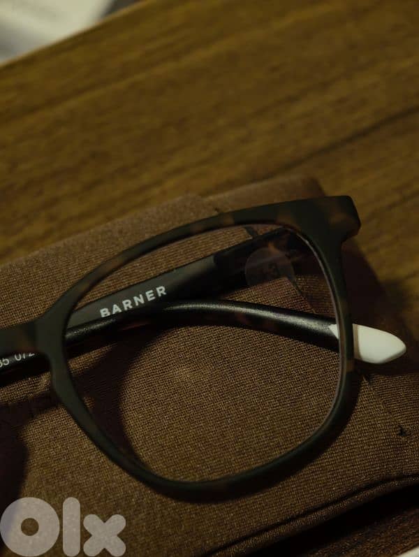 Barner Screen Glasses +3.00 4