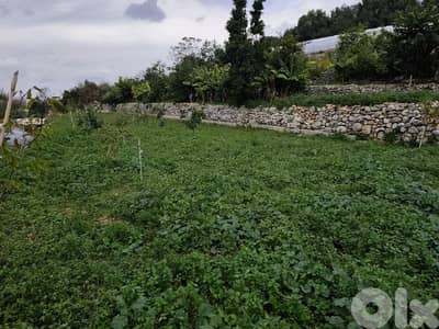 land for rent in jbeil city