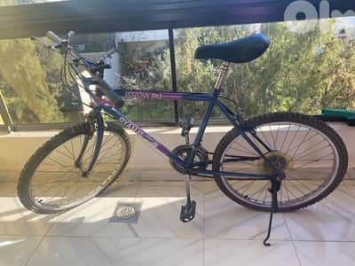 Steel-frame mountain bike