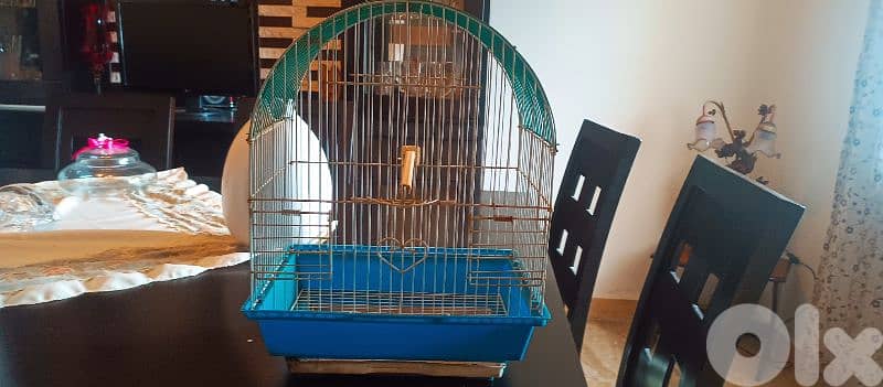 bird cage 1