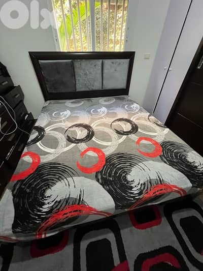 غرفة نوم ماستر للببغ