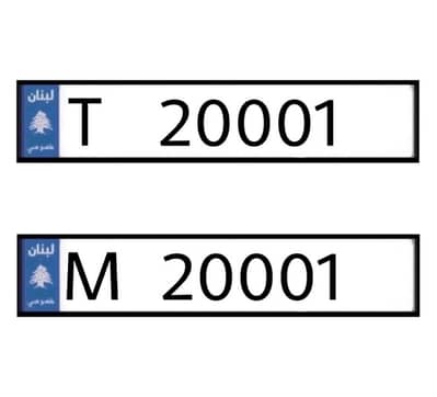 T   20001   &   M   20001