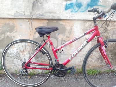 صيدا القياعه