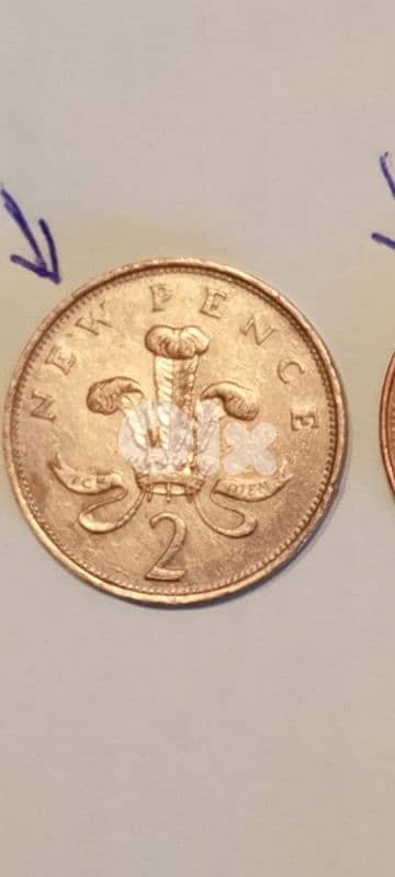 جل الديب المتن 1