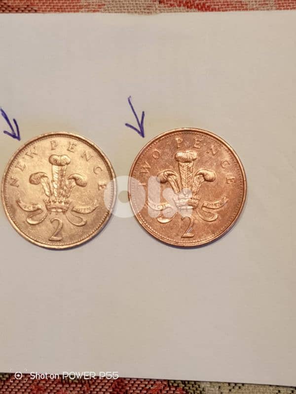 جل الديب المتن 2