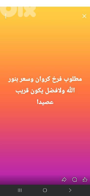 مطلوب فرخ كروان او كوكتيل