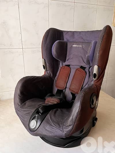 The baby company toddler car seat