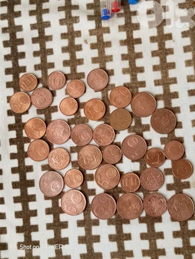 جل الديب المتن