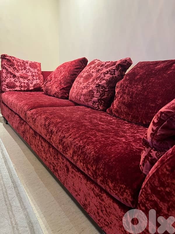 Sofa like brand new (homecity furniture) 4