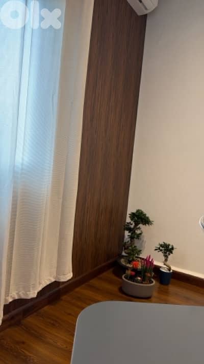 Room for rent in shared office