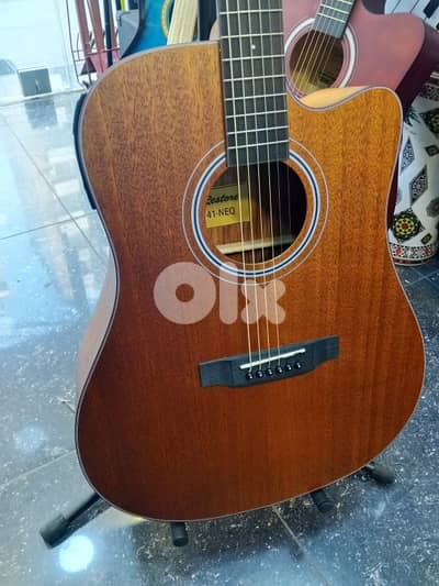 guitar electro accoustic